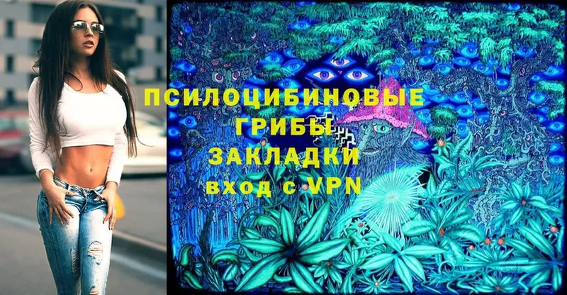 Галлюциногенные грибы Magic Shrooms  Закаменск 