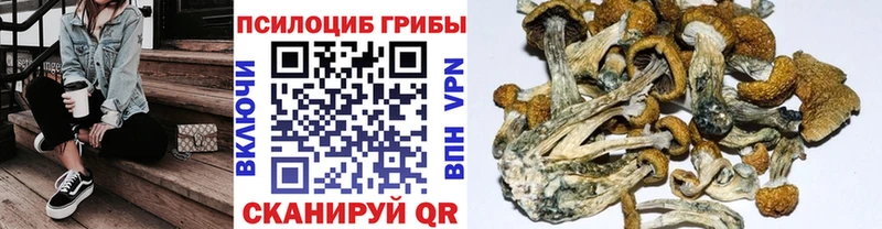 Галлюциногенные грибы прущие грибы  Закаменск 